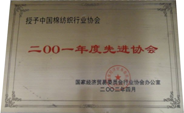 2002年 被國家經濟貿易委員會評為“2001年度先進協會”