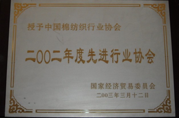 2003年 被國家經濟貿易委員會授予“2002年度先進行業協會”