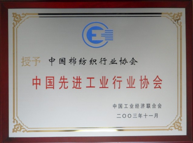 2003年 被中國工業經濟聯合會評為“中國先進工業行業協會”